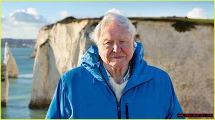 David Attenborough's Net Worth And Impact