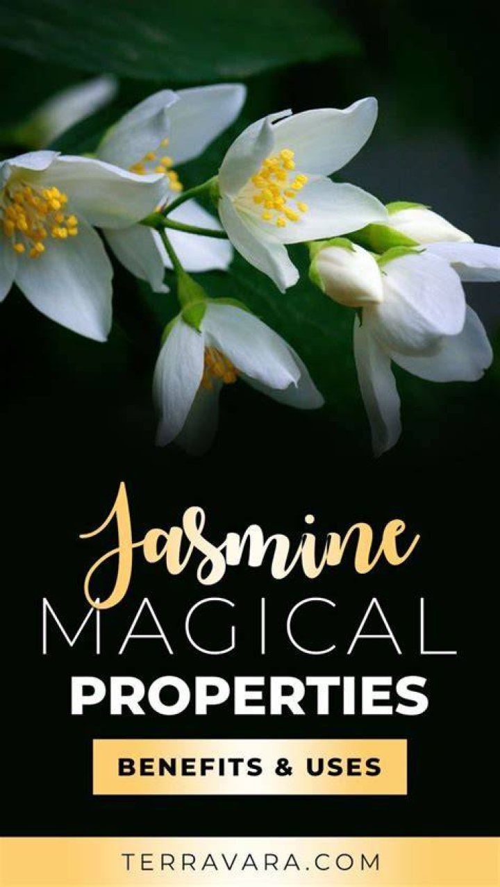 Discover The Enduring Magic Of Jasmine And Sam: Unveiling Love, Acceptance, And