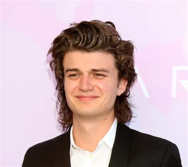 Joe Keery Net Worth, Bio, Height, Family, Age, Weight, Wiki 2023