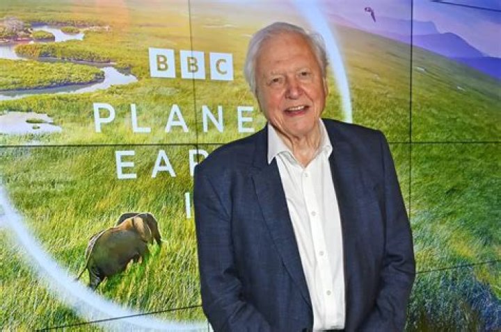 Unveiling The Hidden Wealth Of Nature's Ambassador: David Attenborough's Net Worth