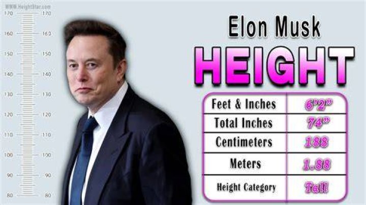 Unveiling The Secrets Of Elon Musk's Height: Discoveries And Insights