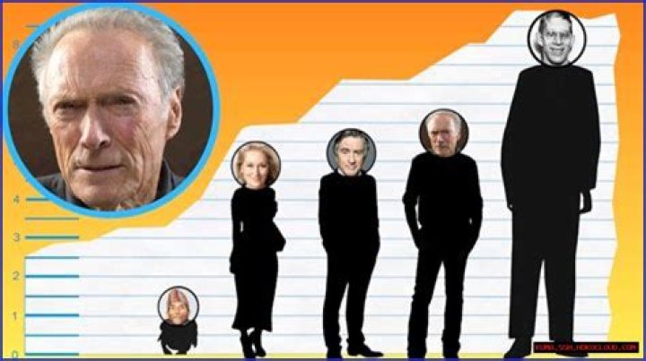 Unveiling The Secrets Of Musk Height: Discoveries And Insights Await